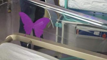 Maternité : découvrez quel est le sens du « papillon violet » sur les berceaux des bébés