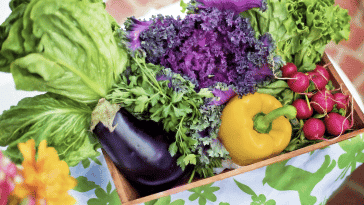 legumes en conserve